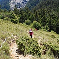 20130526合歡山北峰、西峰 0078.jpg