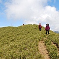 20130526合歡山北峰、西峰 0095.jpg