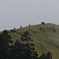 20130526合歡山北峰、西峰 0119.jpg