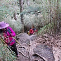 20130526合歡山北峰、西峰 0127.jpg