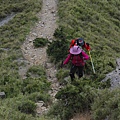 20130526合歡山北峰、西峰 0145.jpg