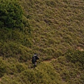 20130526合歡山北峰、西峰 0147.jpg