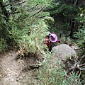 20130526合歡山北峰、西峰 0150.jpg