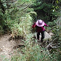 20130526合歡山北峰、西峰 0151.jpg