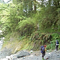 20090516─20090517屏風山【鄭勝致拍攝】 0025.jpg