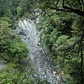 20090516─20090517屏風山【鄭勝致拍攝】 0029.jpg