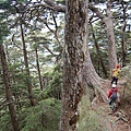 20090516─20090517屏風山【鄭勝致拍攝】 0141.jpg