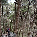 20090516─20090517屏風山【鄭勝致拍攝】 0150.jpg