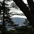 20090516─20090517屏風山【鄭勝致拍攝】 0155.jpg