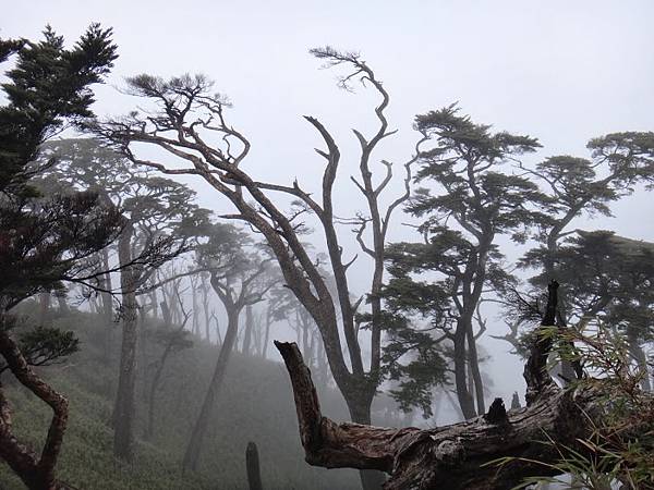 20131207─20131208北大武山【陳育亮拍攝】0060.JPG