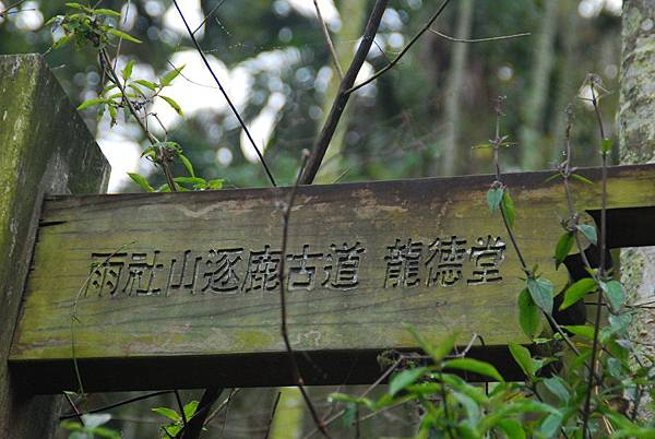 20131222逐鹿古道連走雨社山、北雨社山、後尖山、頭社山【台南南青】 0005.jpg