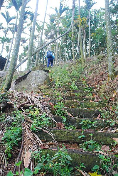 20131222逐鹿古道連走雨社山、北雨社山、後尖山、頭社山【台南南青】 0043.jpg