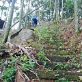 20131222逐鹿古道連走雨社山、北雨社山、後尖山、頭社山【台南南青】 0043.jpg