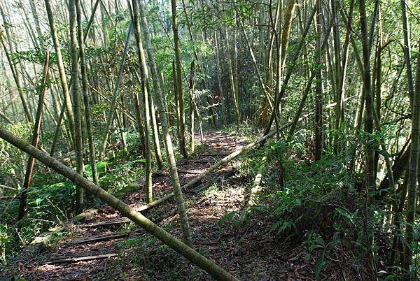 20131222逐鹿古道連走雨社山、北雨社山、後尖山、頭社山【台南南青】 0076.jpg