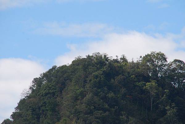 20131222逐鹿古道連走雨社山、北雨社山、後尖山、頭社山【台南南青】 0085.jpg