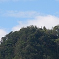 20131222逐鹿古道連走雨社山、北雨社山、後尖山、頭社山【台南南青】 0085.jpg