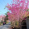 20140105望美山、瓊山【台南南青】 0015.jpg