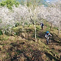 20140105望美山、瓊山【台南南青】 0043.jpg