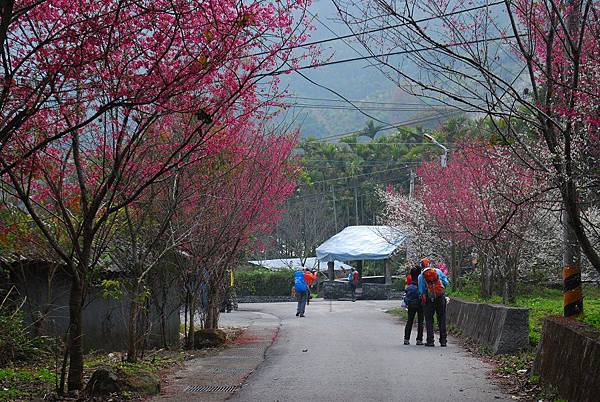 20140105望美山、瓊山【台南南青】 0150.jpg