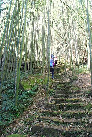 20140112四天王山步道走水水古道及水社寮休閒之旅【台南南青】 0041.jpg