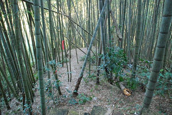 20140112四天王山步道走水水古道及水社寮休閒之旅【台南南青】 0050.jpg