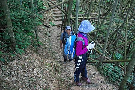 20140112四天王山步道走水水古道及水社寮休閒之旅【台南南青】 0051.jpg