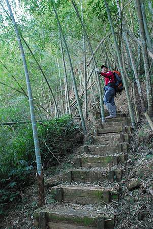 20140112四天王山步道走水水古道及水社寮休閒之旅【台南南青】 0052.jpg