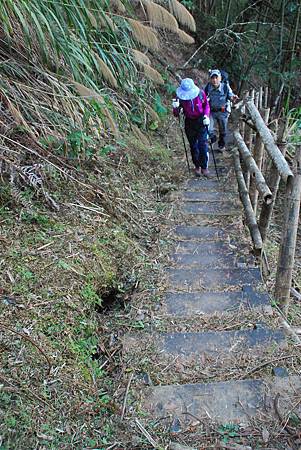 20140112四天王山步道走水水古道及水社寮休閒之旅【台南南青】 0054.jpg