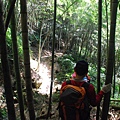 20140112四天王山步道走水水古道及水社寮休閒之旅【台南南青】 0067.jpg