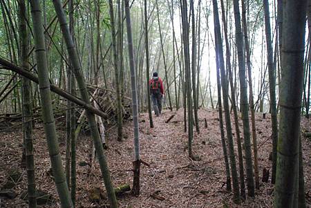 20140112四天王山步道走水水古道及水社寮休閒之旅【台南南青】 0106.jpg