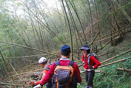 20140112四天王山步道走水水古道及水社寮休閒之旅【台南南青】 0110.jpg