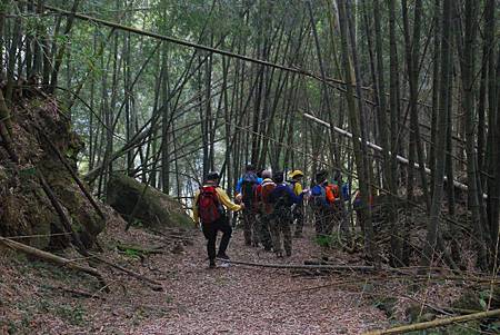 20140112四天王山步道走水水古道及水社寮休閒之旅【台南南青】 0115.jpg