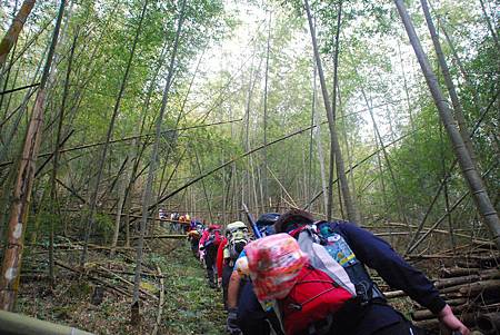 20140112四天王山步道走水水古道及水社寮休閒之旅【台南南青】 0121.jpg