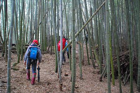 20140112四天王山步道走水水古道及水社寮休閒之旅【台南南青】 0124.jpg