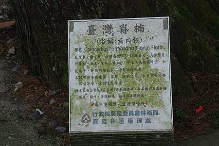 20140112四天王山步道走水水古道及水社寮休閒之旅【台南南青】 0165.jpg 20140112四天王山步道走水水古道及水社寮休閒之旅【台南南青】 0165.jpg