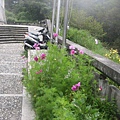 20070714─20070715羊頭山、畢祿山【李忠縈拍攝】 0004.jpg