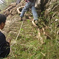 20070714─20070715羊頭山、畢祿山【李忠縈拍攝】 0015.jpg