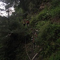 20070714─20070715羊頭山、畢祿山【李忠縈拍攝】 0023.jpg