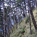 20100101─20100103白姑大山【廖啟宏拍攝】 0058.jpg