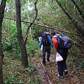 20140223藍色地平線、九棚山縱走鼻頭山【台南南青】 0020.jpg