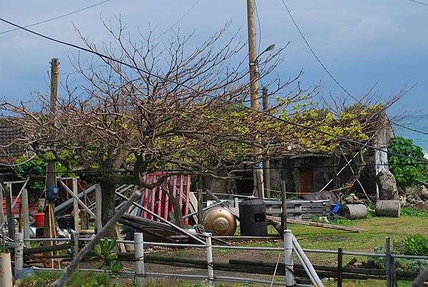 20140223藍色地平線、九棚山縱走鼻頭山【台南南青】 0150.jpg