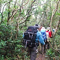 20140223藍色地平線、九棚山縱走鼻頭山【台南南青】 0087.jpg