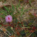 20140228鳳山文化心靈之旅【台南市牙醫師公會】 0043.jpg