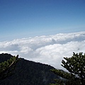 20061006─20061010南一段【莊素雲拍攝】 0013  往關山途中的雲海.jpg