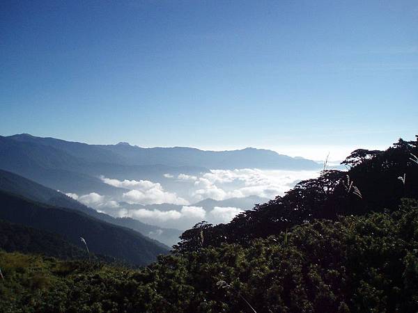 20061006─20061010南一段【莊素雲拍攝】 0052  往海諾南山山徑的雲海.jpg