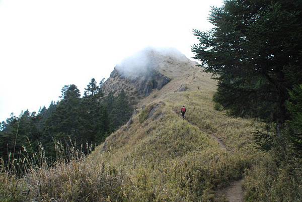 20140412─20140413單攻桃山、喀拉業山 0164.jpg