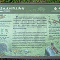 20091202─20091206能高、安東軍【蘇仁富拍攝】 0017.jpg