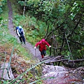 20111008─20111010畢祿山、羊頭山 DSC_0035.jpg