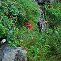 20111008─20111010畢祿山、羊頭山 DSC_0041.jpg