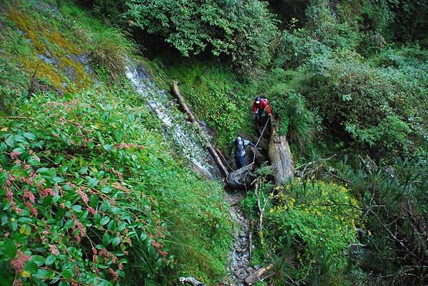 20111008─20111010畢祿山、羊頭山 DSC_0042.jpg